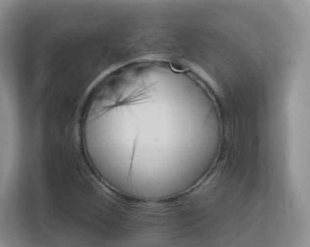 X0000113881356200909241344