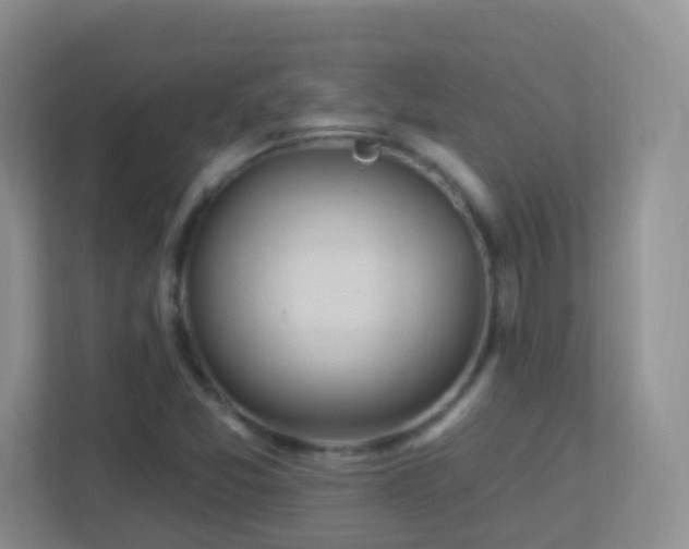 X0000113881357200909241344