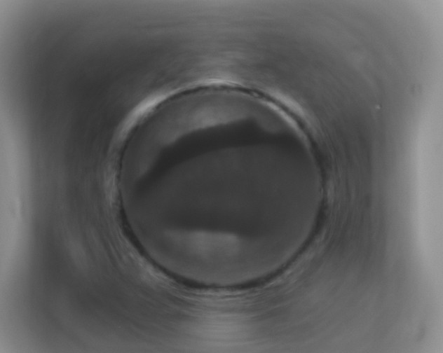X0000113881359200909241344