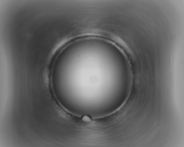 X0000113881360200909241344