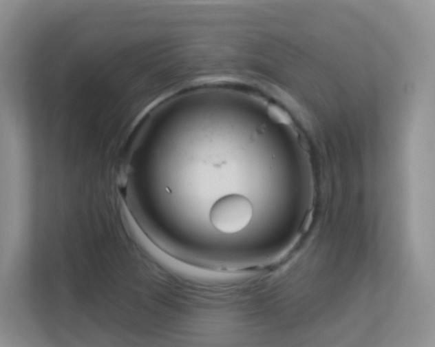 X0000113881361200909241344