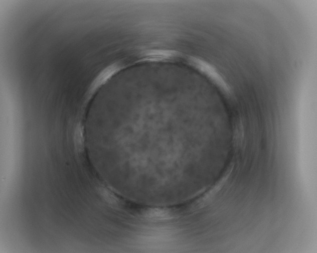 X0000113881362200909241344