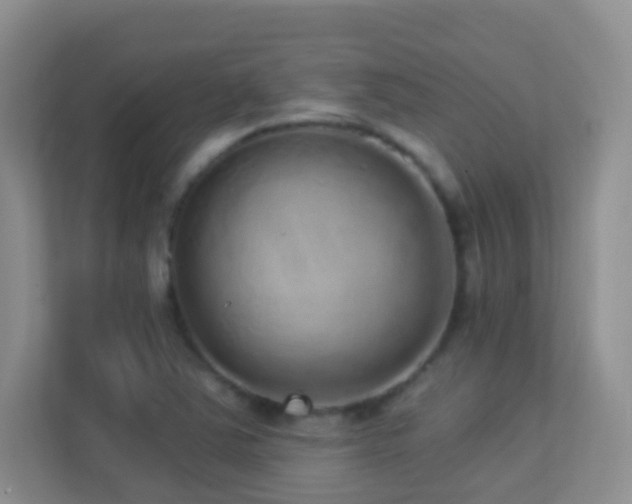 X0000113881363200909241344