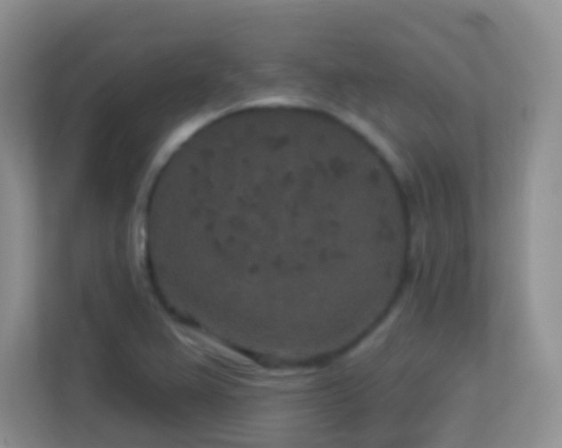 X0000113881367200909241343