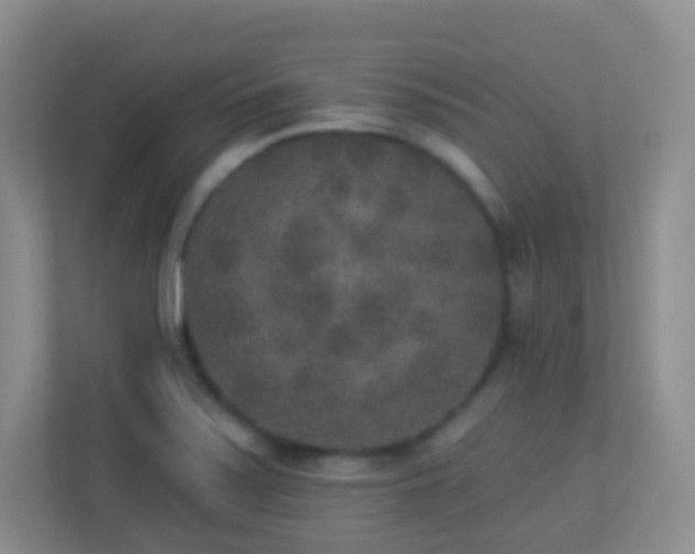 X0000113881371200909241343