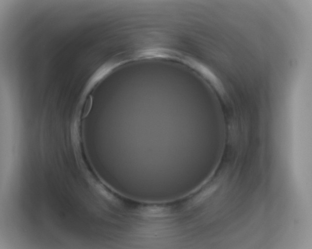 X0000113881373200909241343