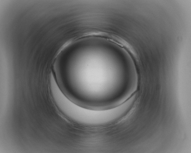 X0000113881377200909241343