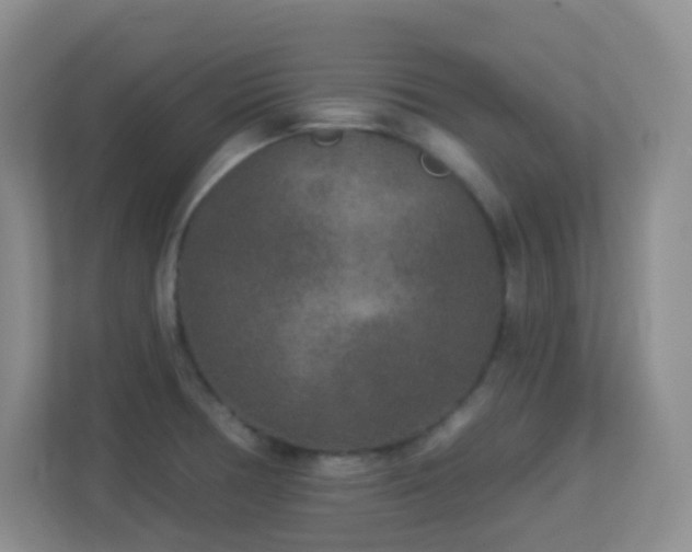 X0000113881378200909241343