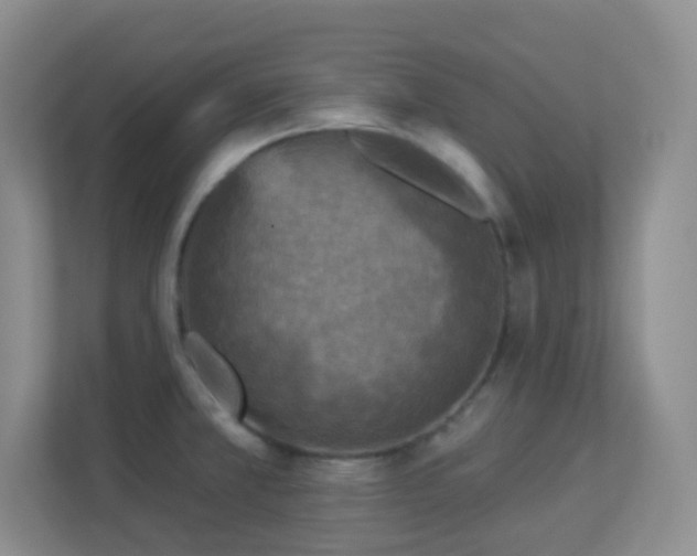 X0000113881381200909241343