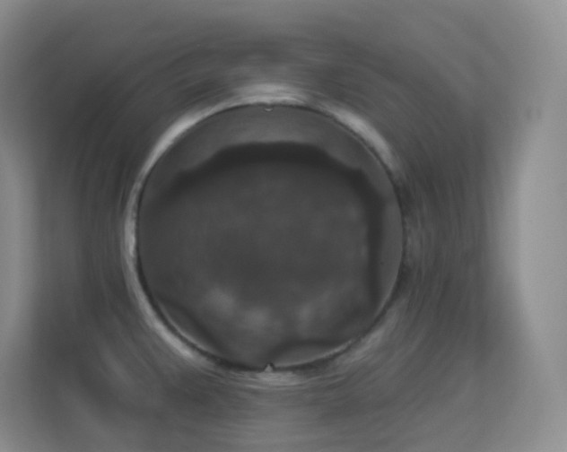 X0000113881383200909241343