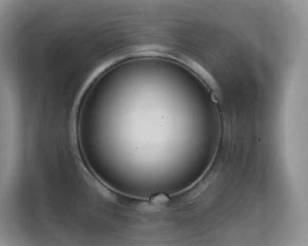 X0000113881384200909241343