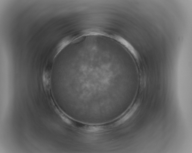 X0000113881385200909241343