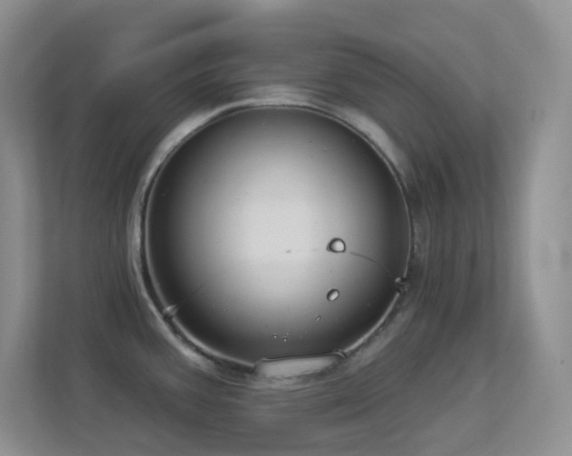 X0000113881387200909241343