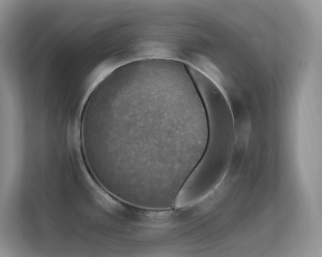 X0000113881389200909241343