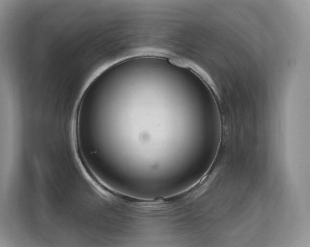 X0000113881391200909241343