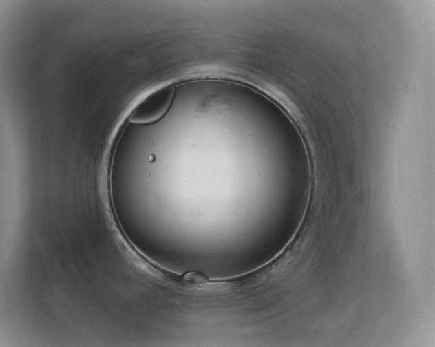X0000113881392200909241343