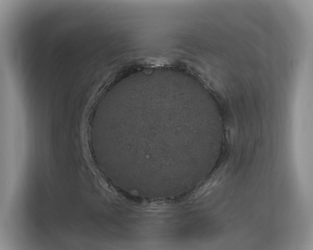 X0000113881393200909241343