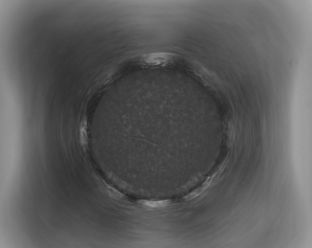 X0000113881394200909241343