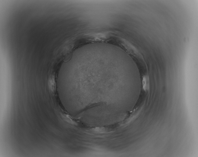 X0000113881395200909241343