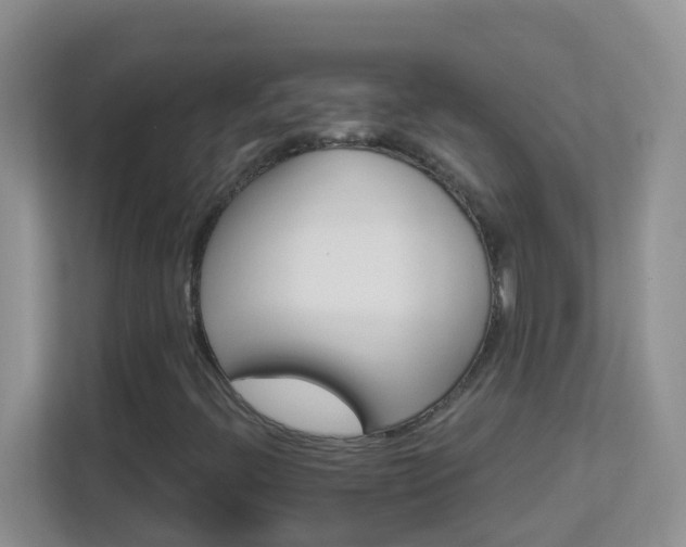 X0000113881396200909241343