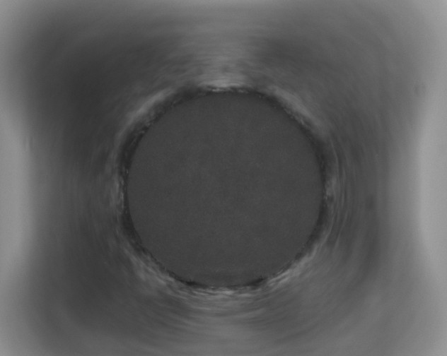 X0000113881398200909241343