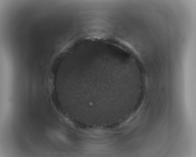 X0000113881399200909241343