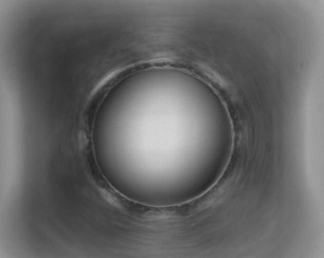 X0000113881400200909241343