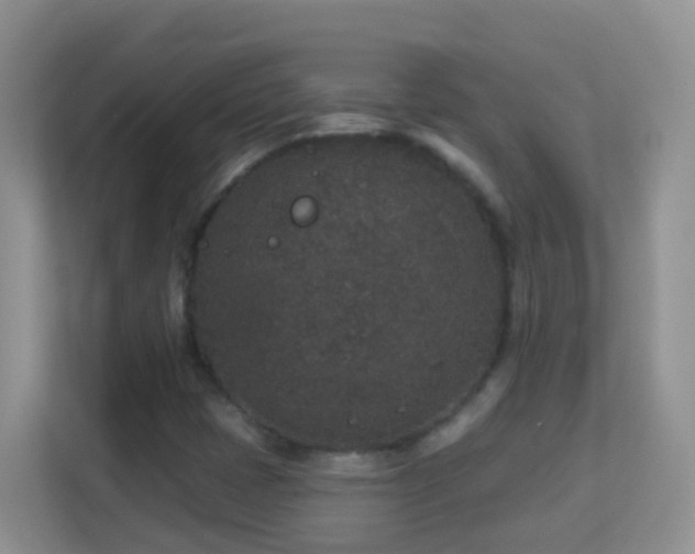 X0000113881401200909241343