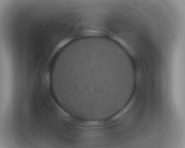 X0000113881402200909241343