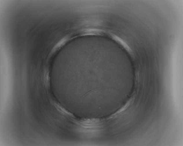 X0000113881403200909241343
