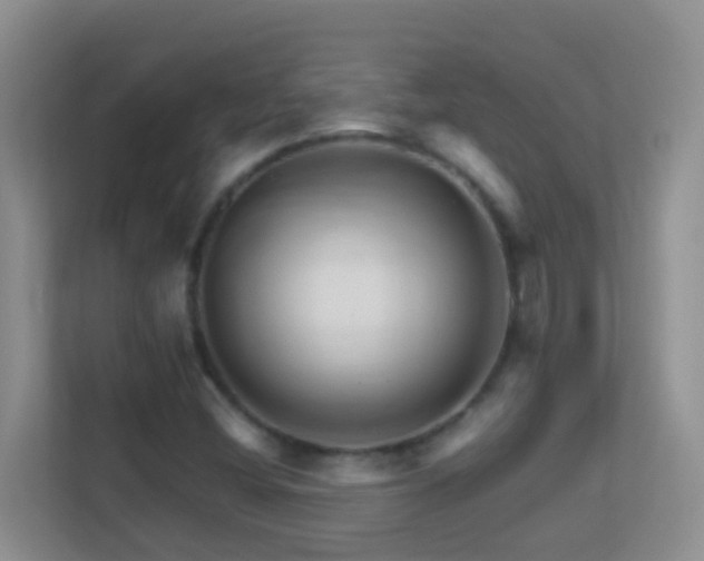 X0000113881404200909241343