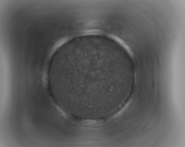 X0000113881405200909241343