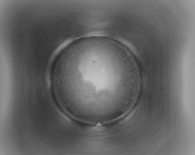 X0000113881406200909241343