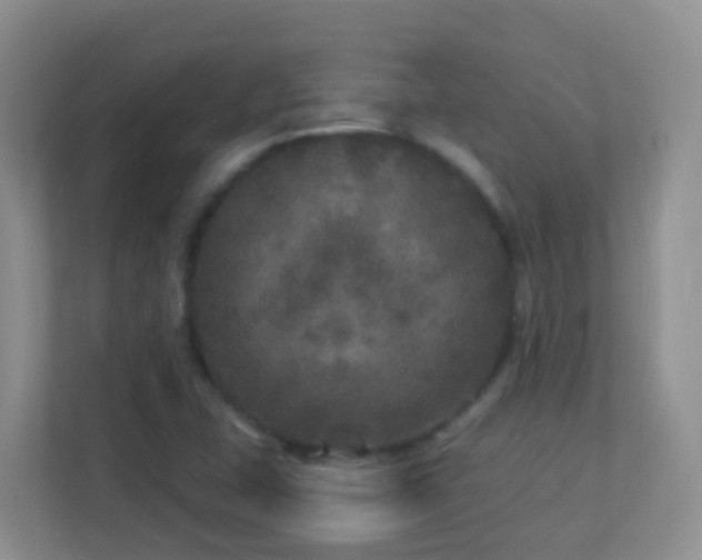 X0000113881407200909241343