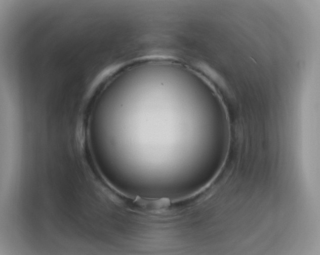 X0000113881408200909241343
