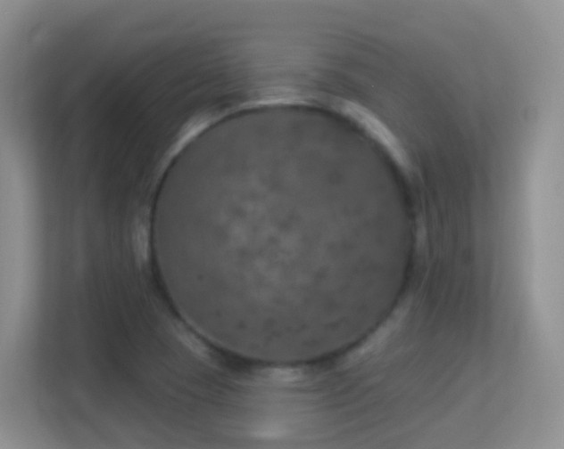 X0000113881409200909241343