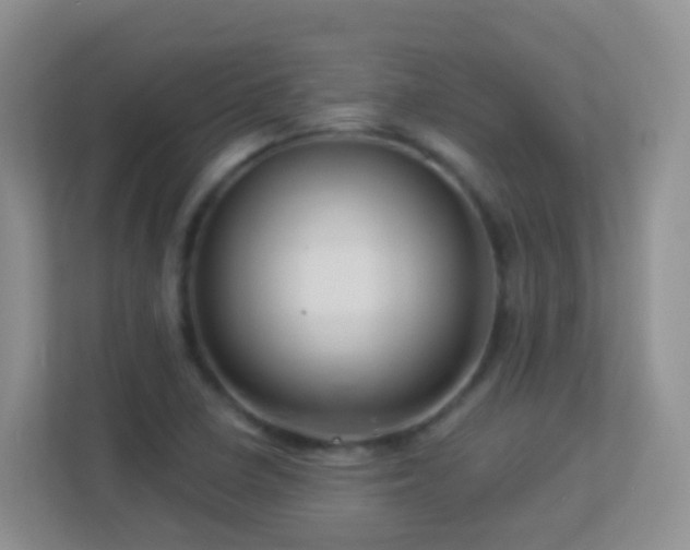 X0000113881410200909241343