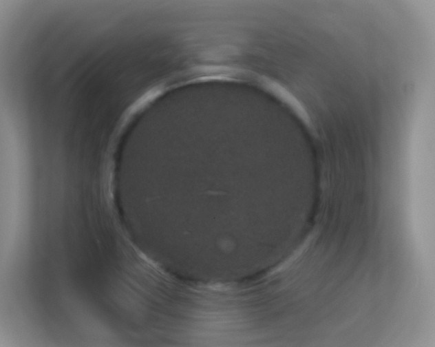 X0000113881411200909241343