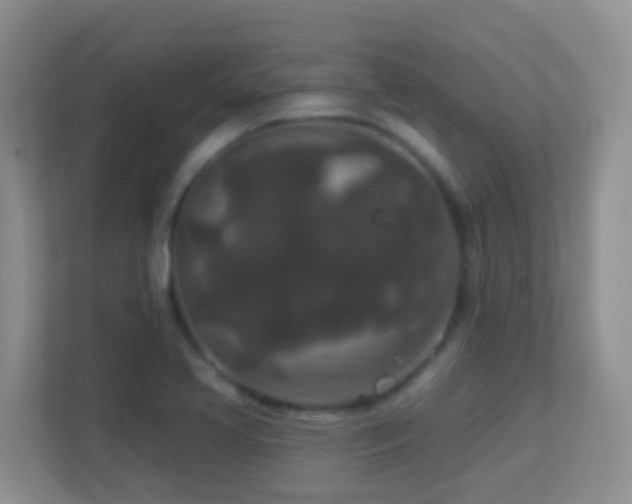 X0000113881413200909241343