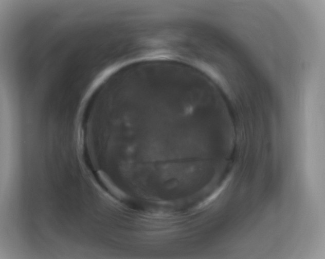 X0000113881414200909241343