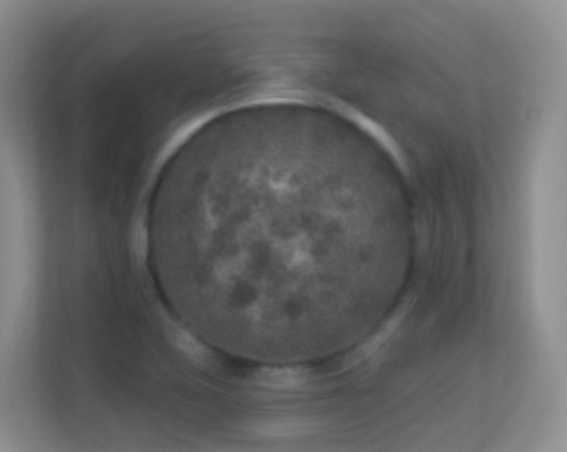 X0000113881415200909241343