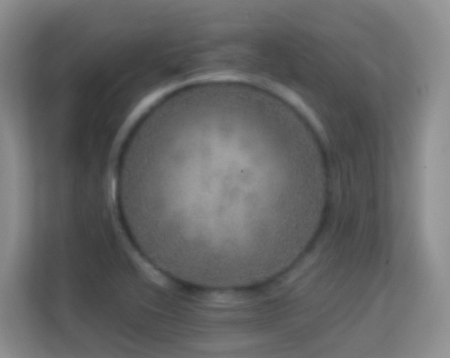 X0000113881416200909241343