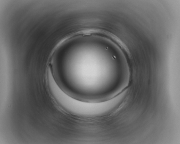 X0000113881417200909241343