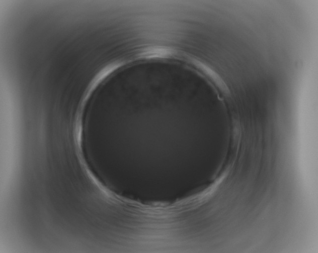 X0000113881418200909241343