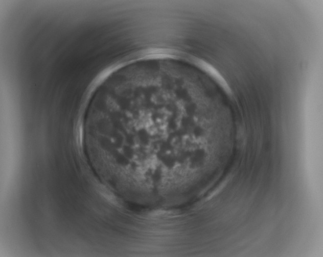 X0000113881419200909241343