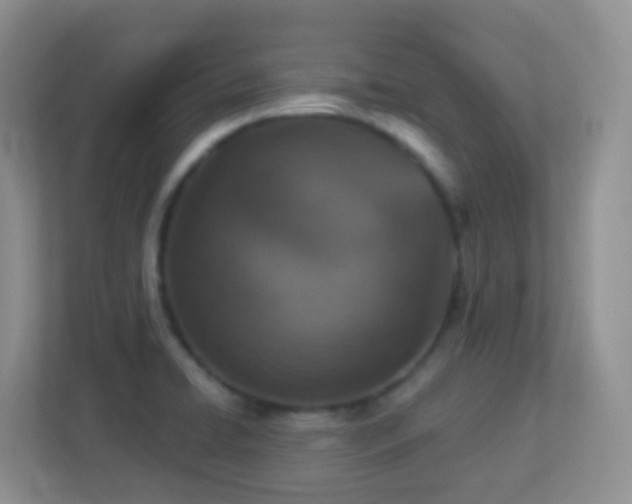 X0000113881422200909241343
