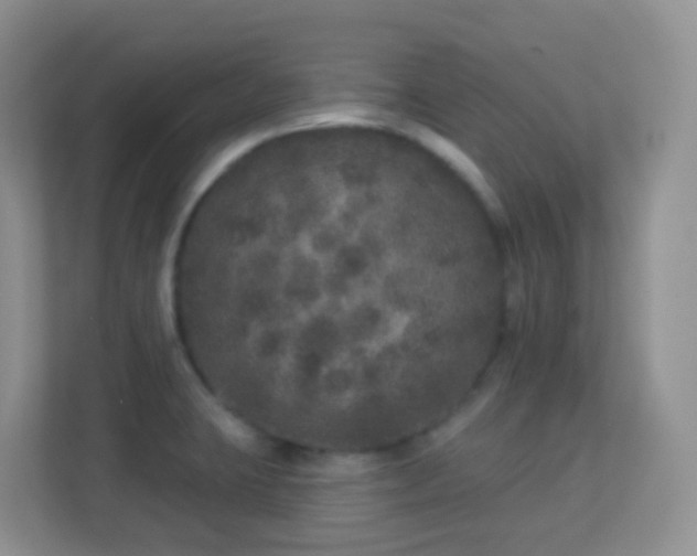 X0000113881423200909241343