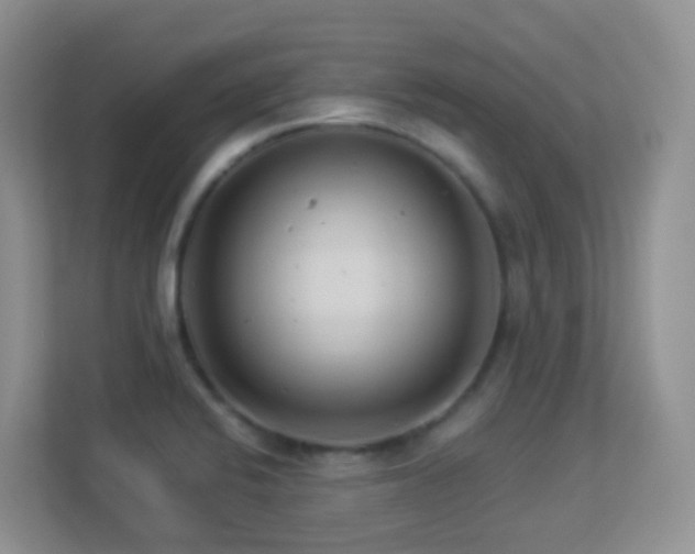 X0000113881424200909241343