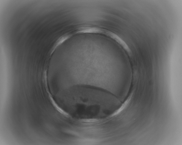 X0000113881425200909241343