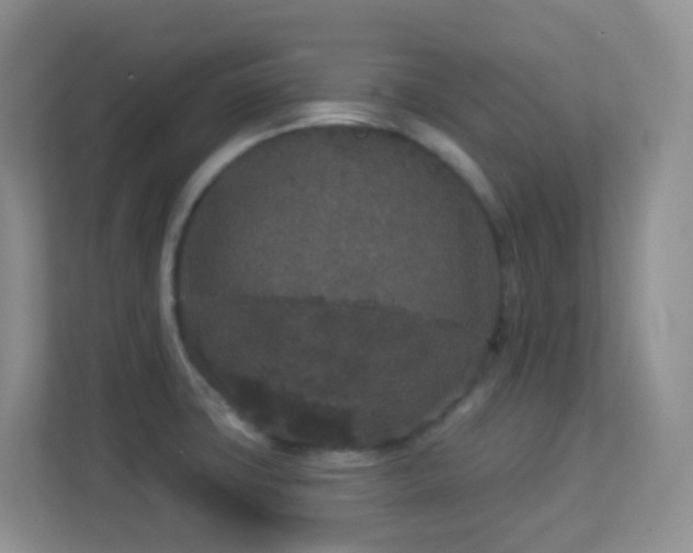 X0000113881427200909241343